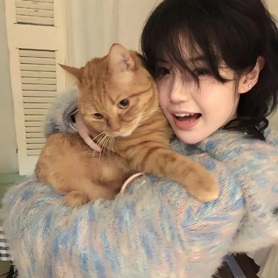 鸣鸟不飞：乌云密布