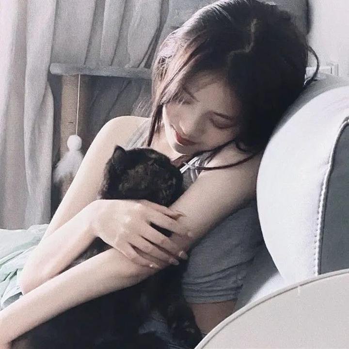 双生神捕之墙头马上